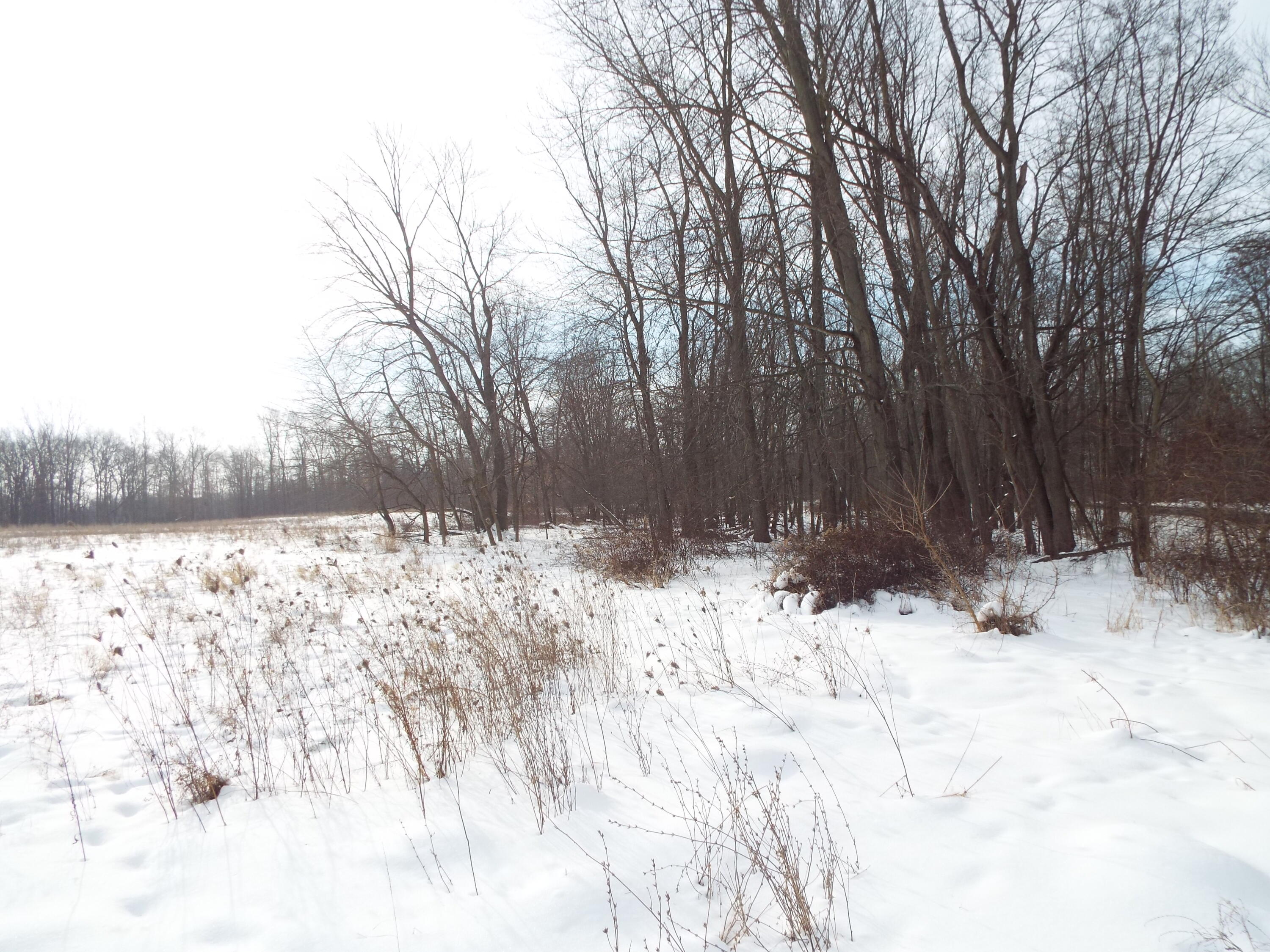 B Peacock Road Leslie, MI 49251 - Photo 9 of 9 DSCF2166