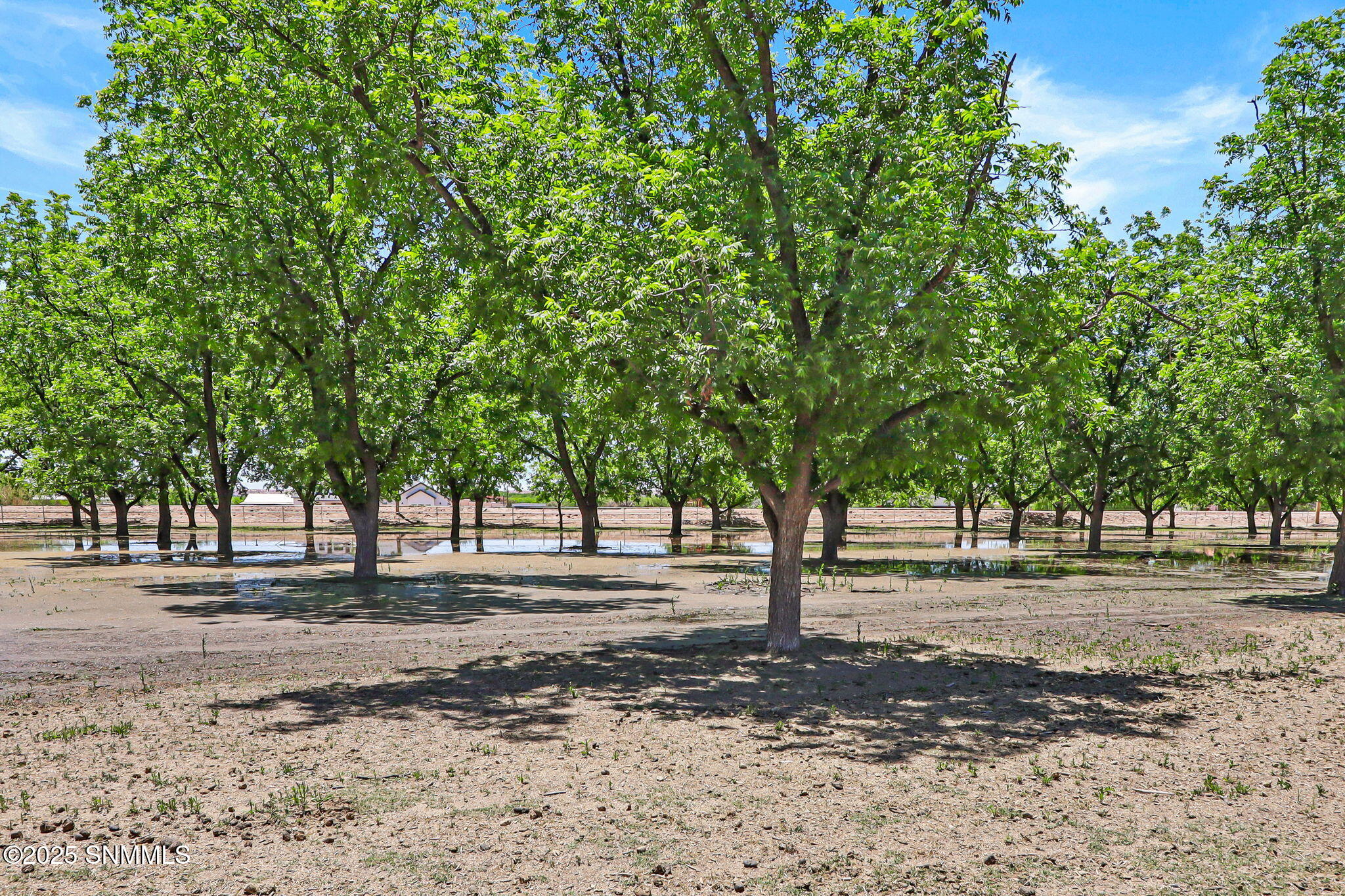 7003 McNutt Road Anthony, NM 88021 - Photo 83 of 89 3-web-or-mls-IMG_7949-2