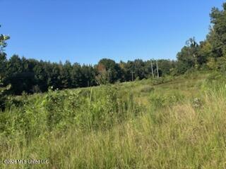 156 McGregor Chapel Road South Pontotoc, MS 38863 - Photo 26 of 27 34