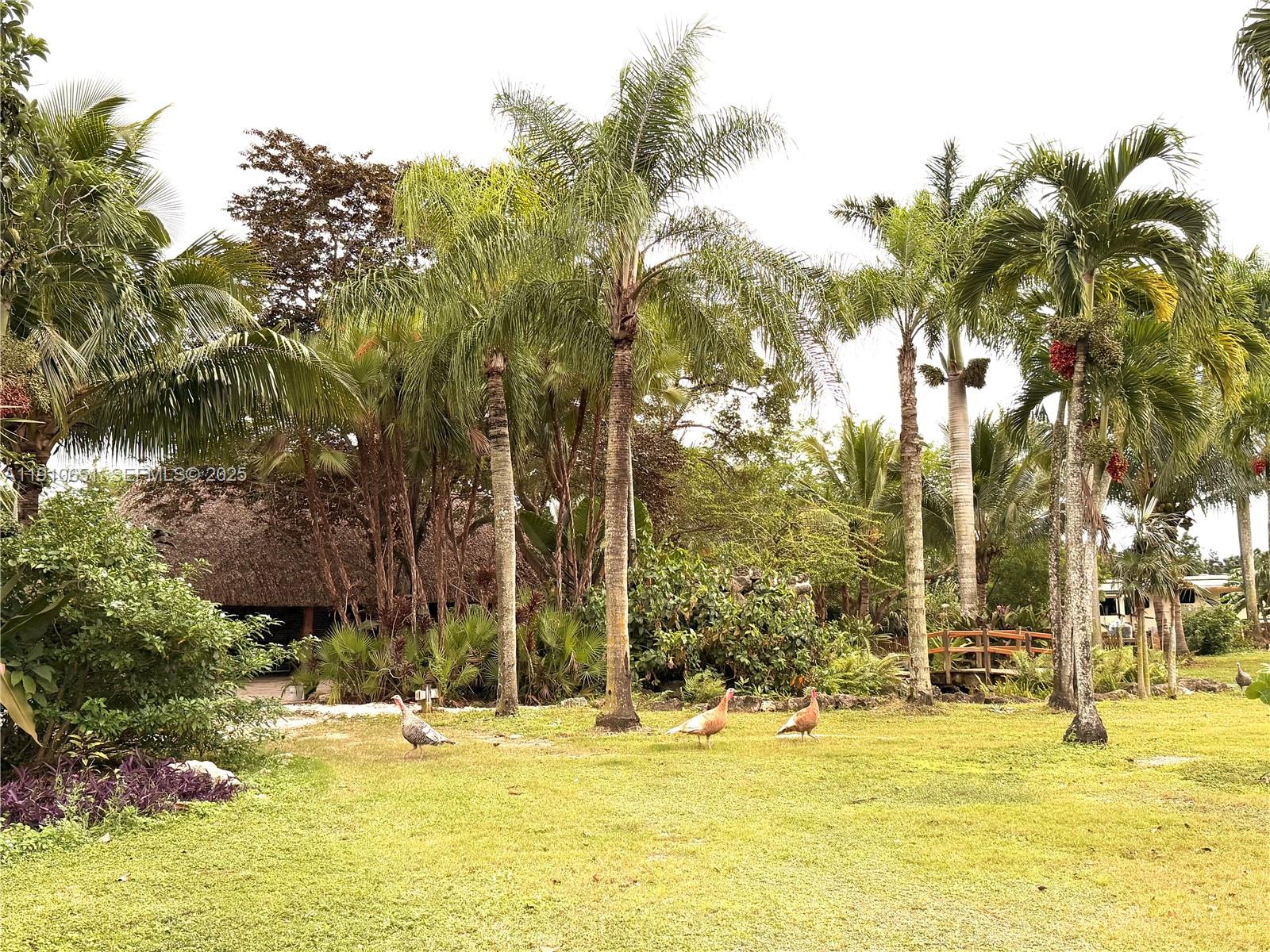 19820 Southwest 244th Street Homestead, FL 33031 - Photo 46 of 99