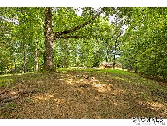 450 Nicholson Creek Road Brevard, NC 28712 - Photo 5 of 12 Gallery Image 5