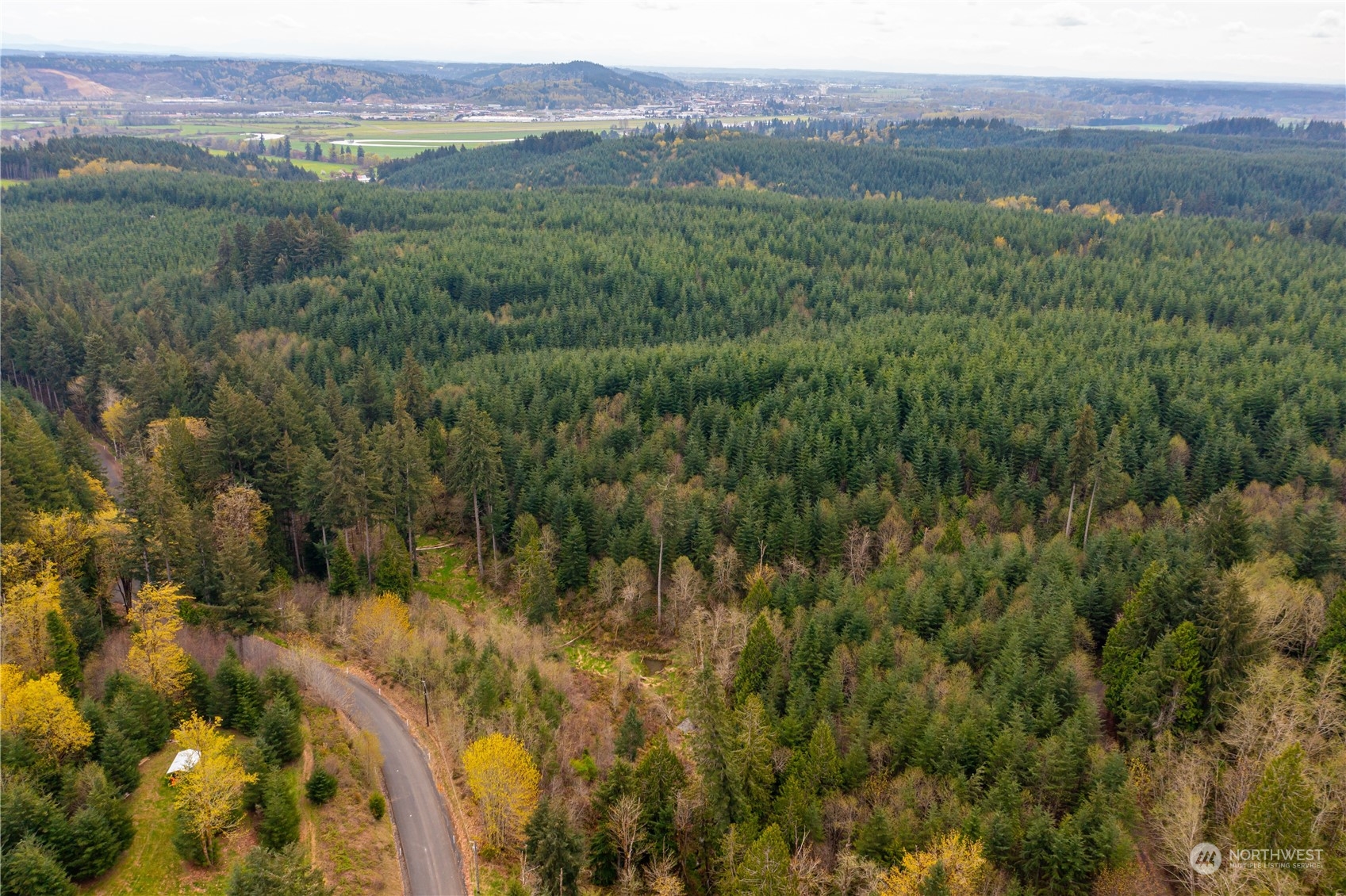 34-xx Graf Road Centralia, WA 98531 - Photo 11 of 14 a view of a lush green forest with trees and some houses