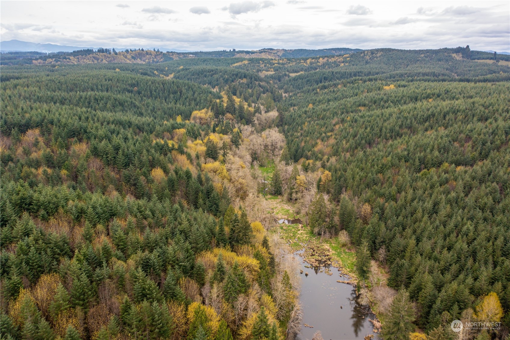 34-xx Graf Road Centralia, WA 98531 - Photo 13 of 14 a view of city and mountain