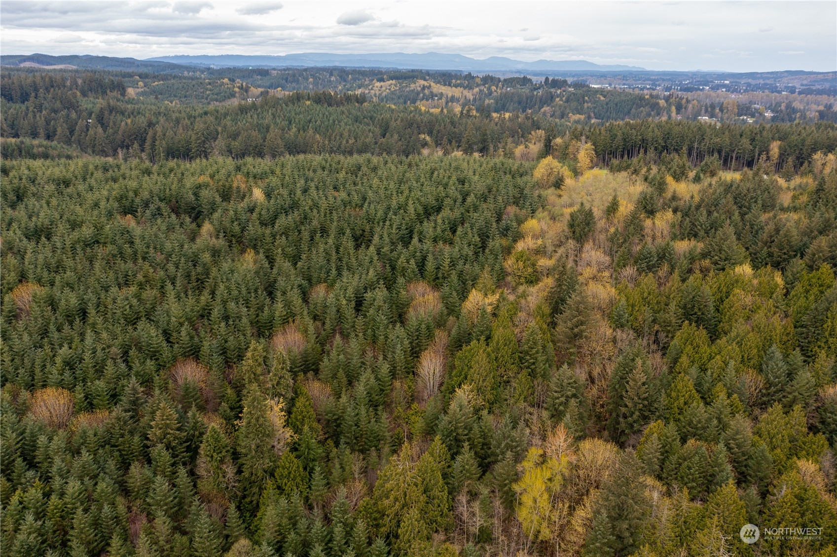 34-xx Graf Road Centralia, WA 98531 - Photo 14 of 14 a view of city and mountain
