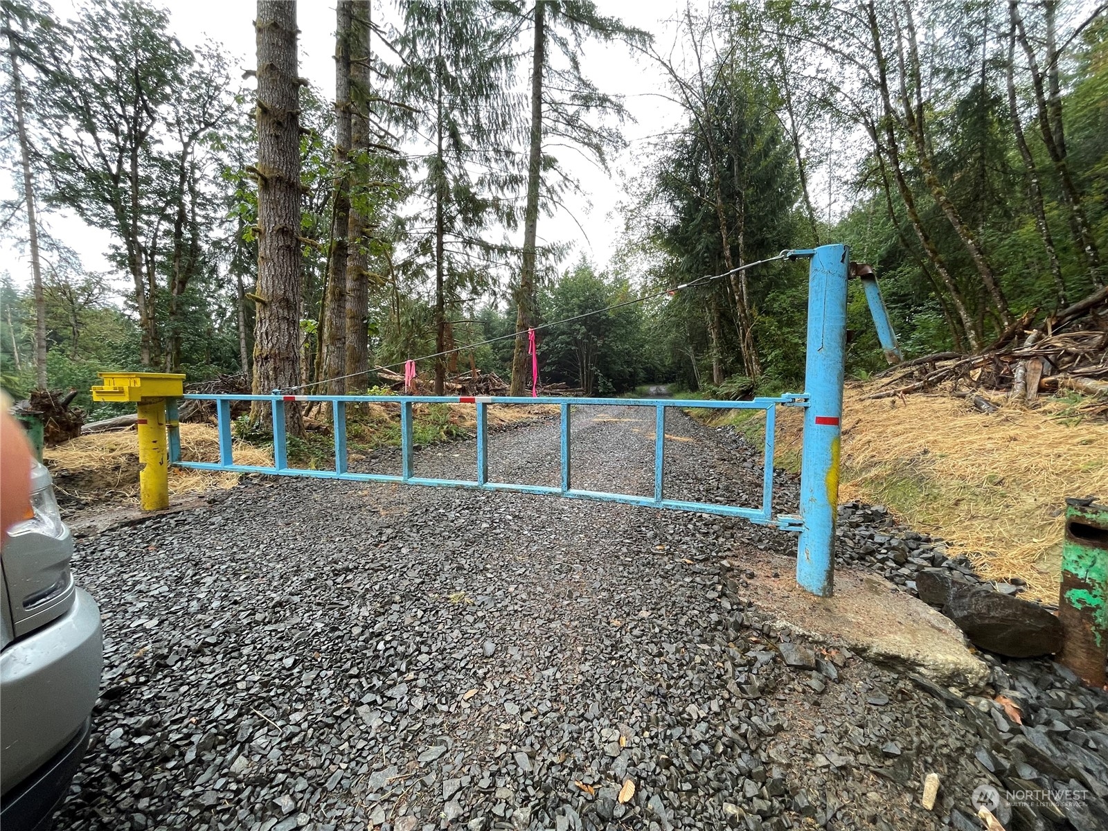 34-xx Graf Road Centralia, WA 98531 - Photo 5 of 14 a backyard of a house with lots of green space