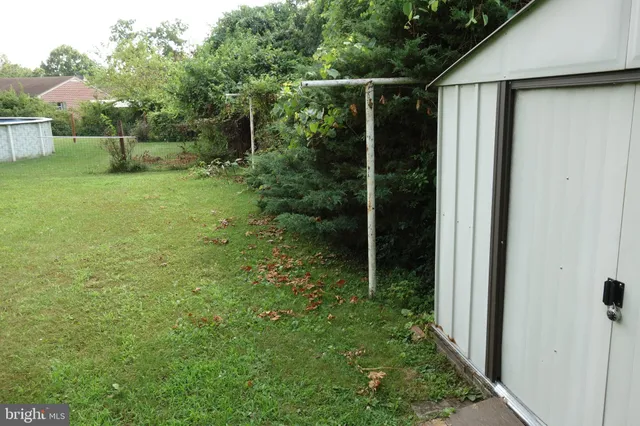 a view of a backyard with large trees