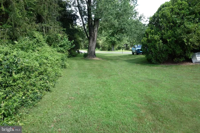 a view of yard with green space