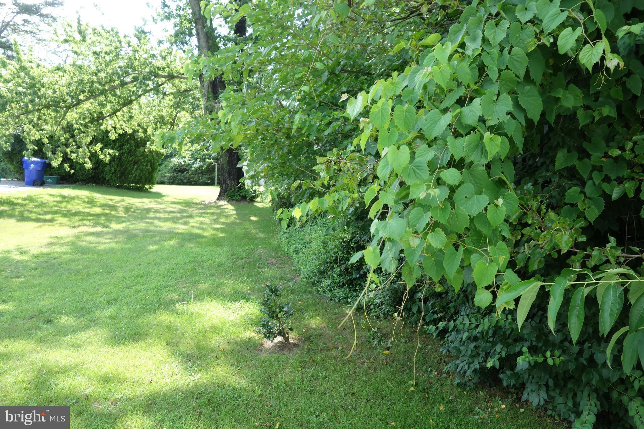 769 Knob Hill Road Fayetteville, PA 17222 - Photo 21 of 56 a view of yard with green space