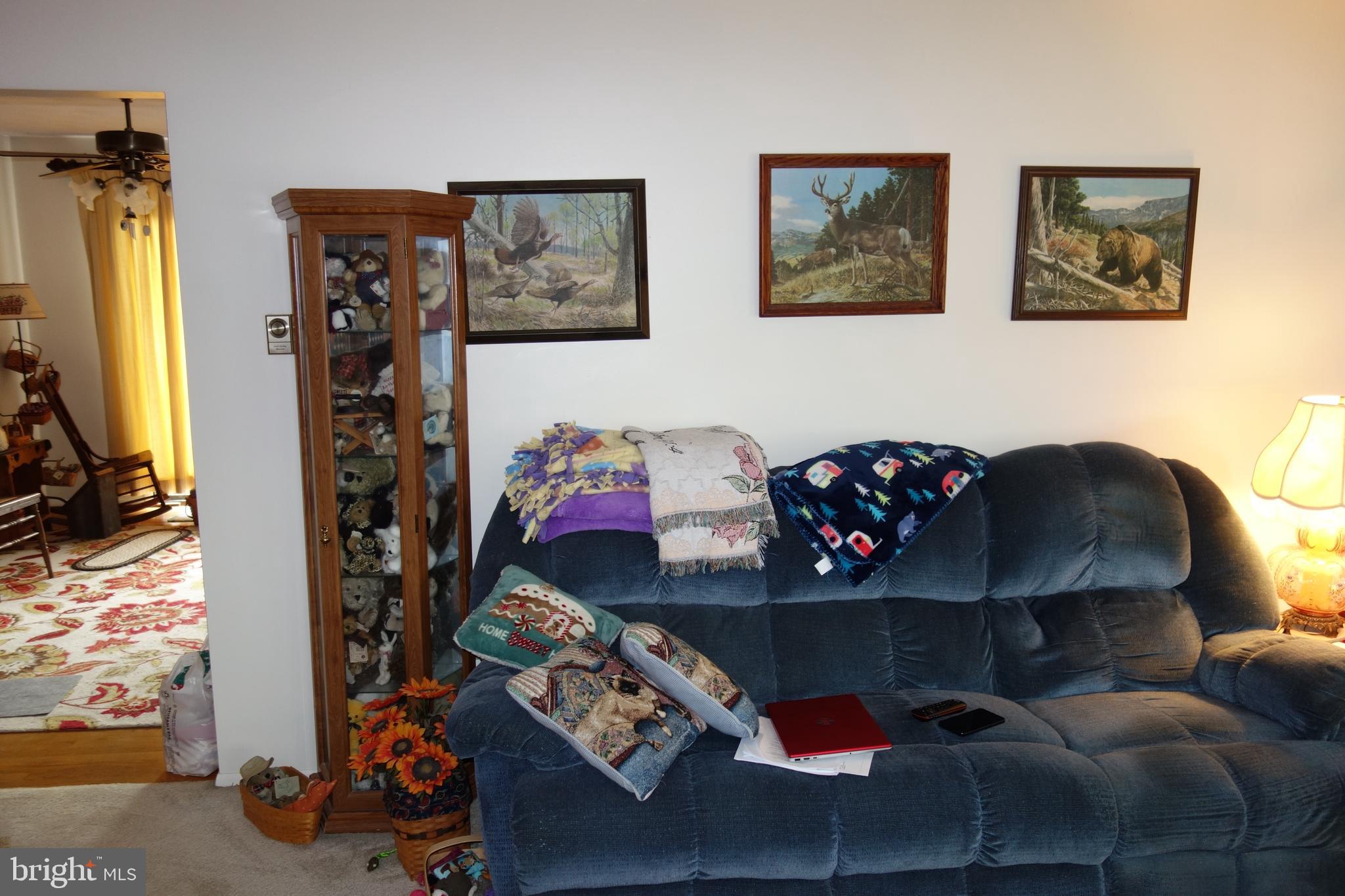 769 Knob Hill Road Fayetteville, PA 17222 - Photo 29 of 56 a living room with furniture a rug and a window