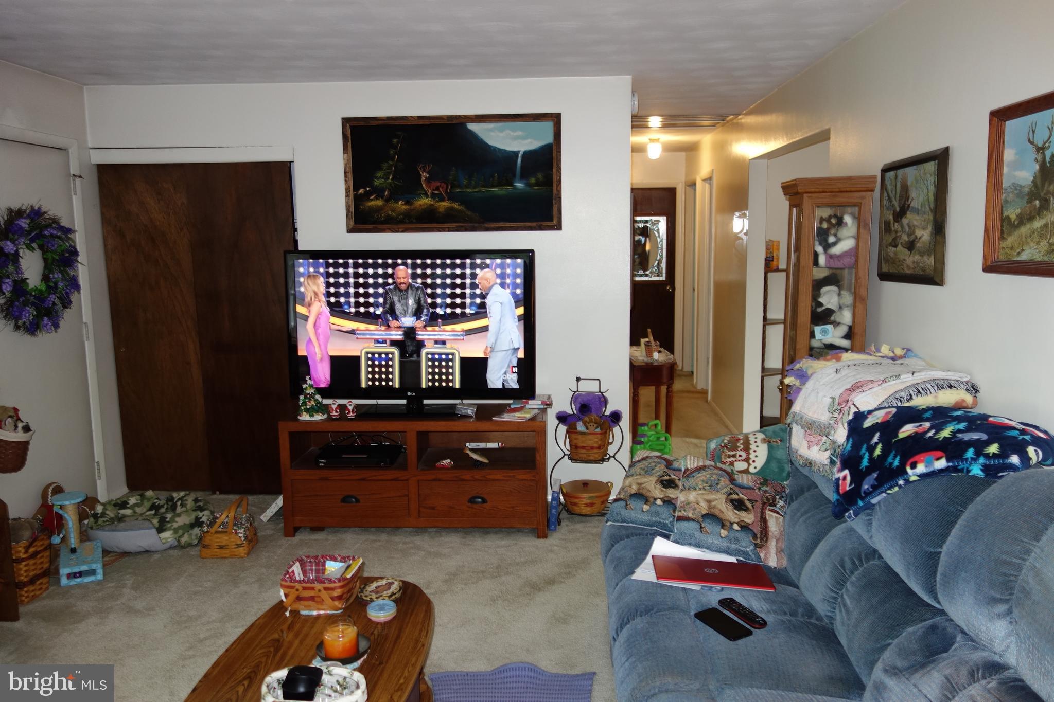 769 Knob Hill Road Fayetteville, PA 17222 - Photo 30 of 56 a living room with furniture and a flat screen tv