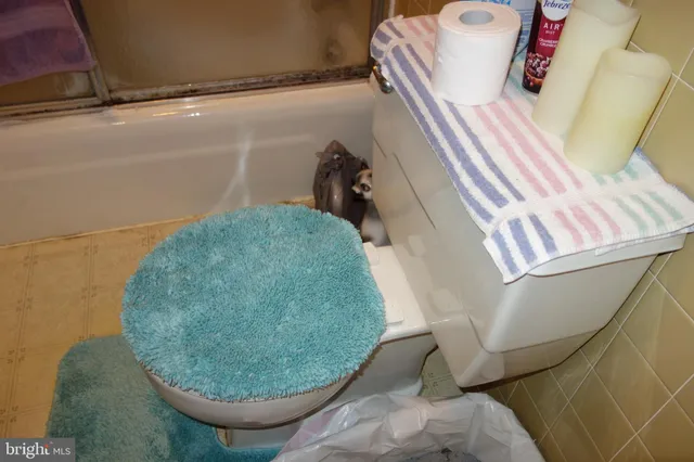 a bathroom with a sink toilet and a mirror