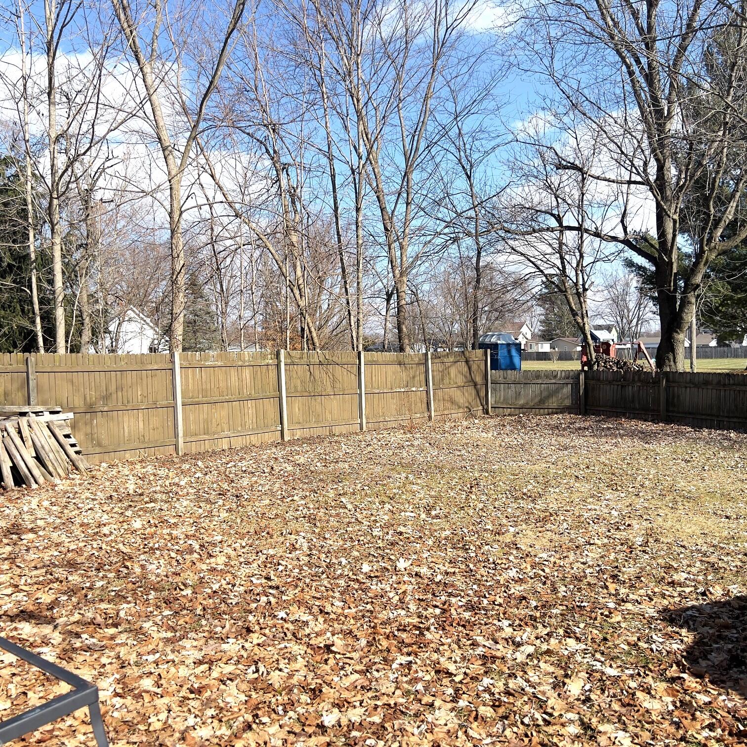 407 Barry Street Colon, MI 49040 - Photo 23 of 23 Yard