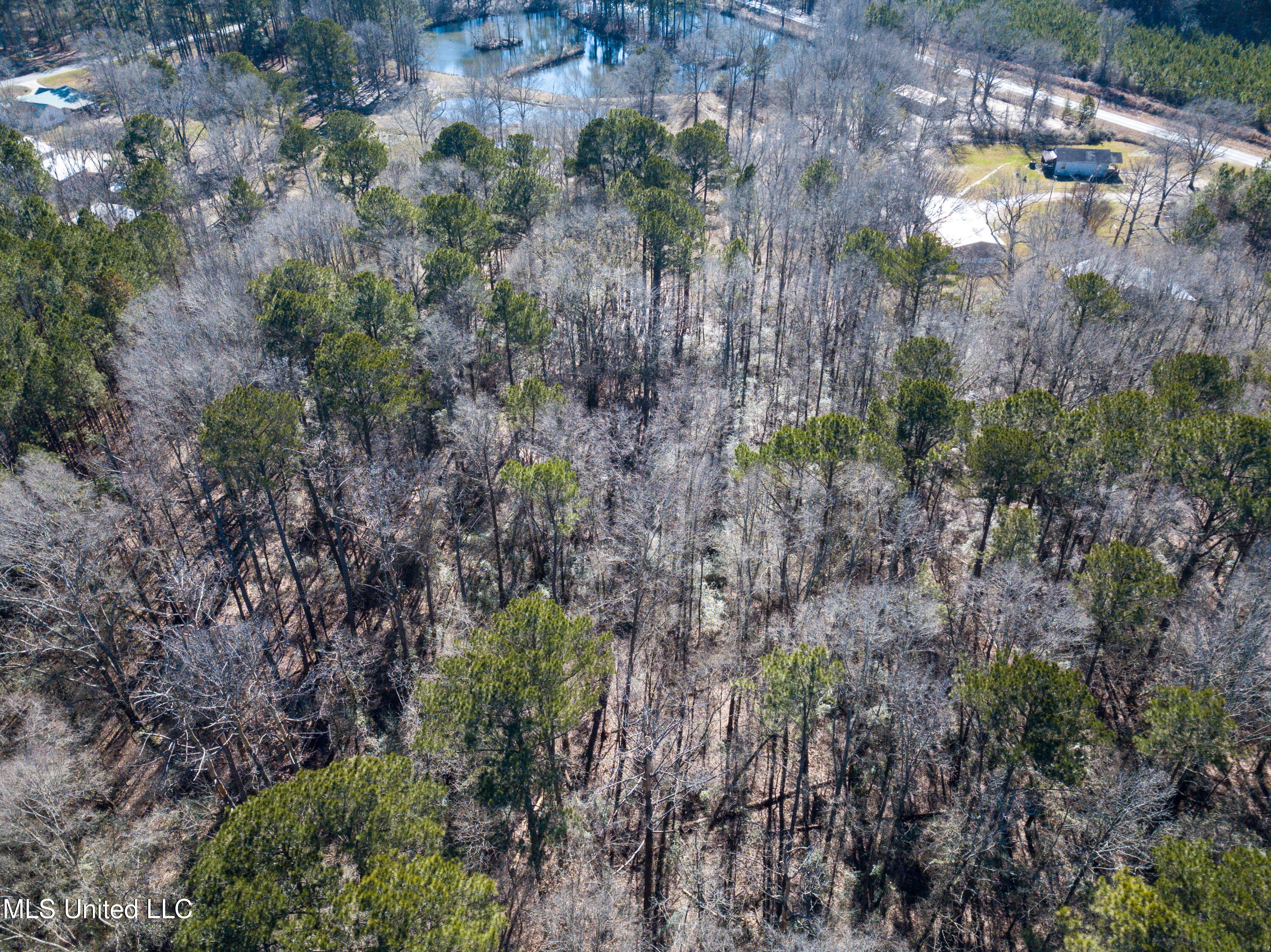 13 Highway 13 Morton, MS 39117 - Photo 11 of 28 DJI_0731