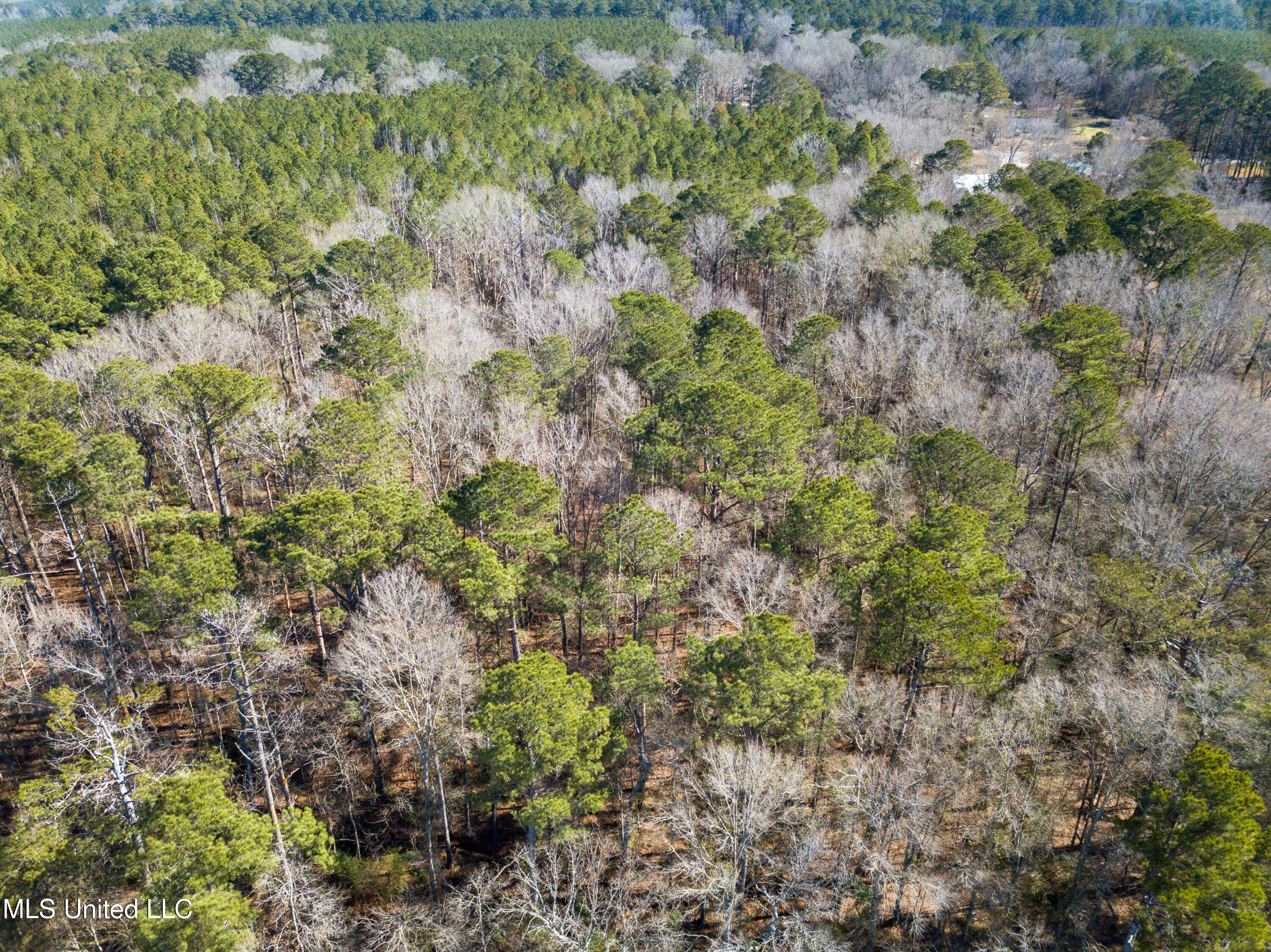 13 Highway 13 Morton, MS 39117 - Photo 14 of 28 DJI_0728