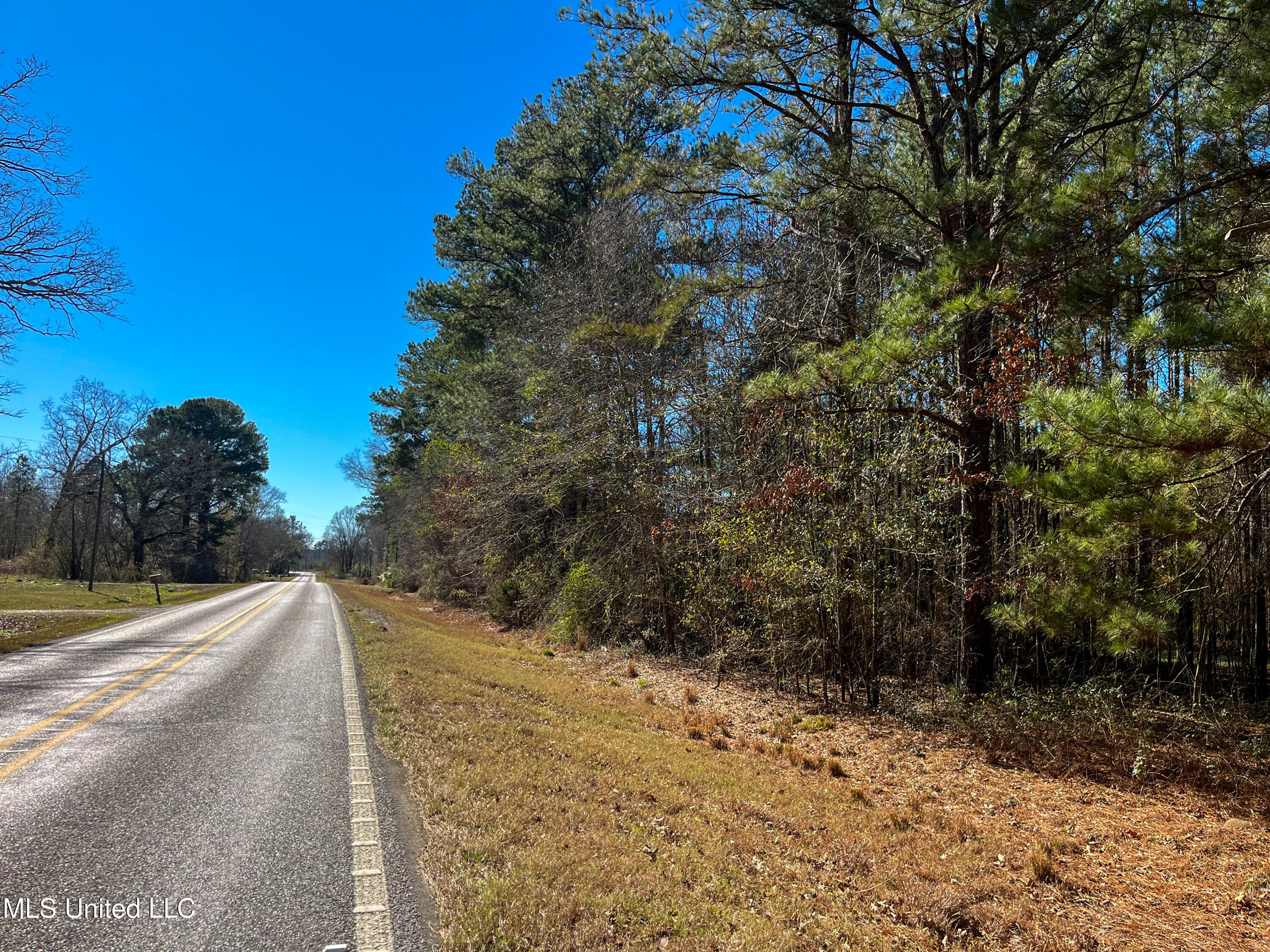 13 Highway 13 Morton, MS 39117 - Photo 16 of 28 IMG_2059