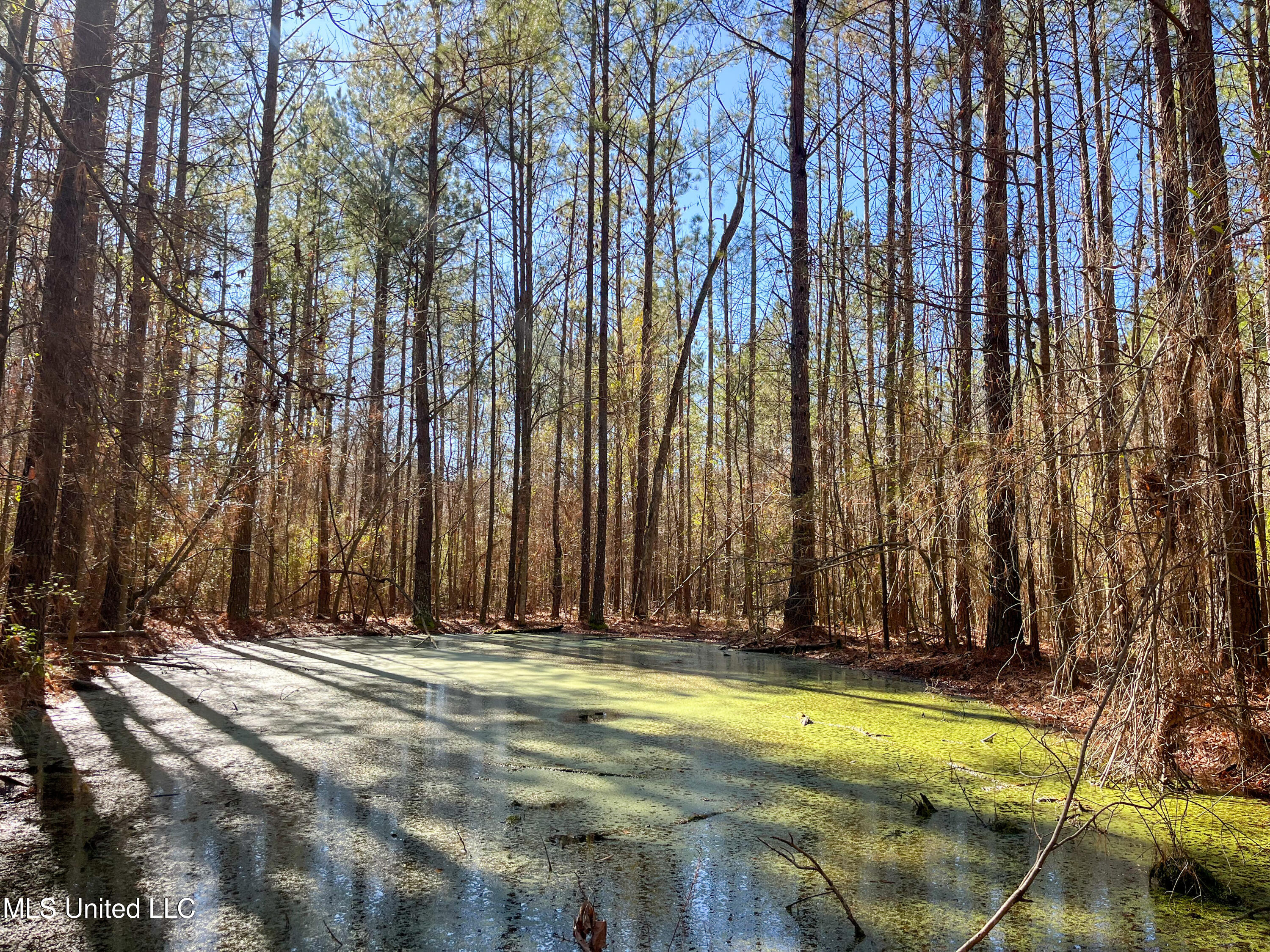 13 Highway 13 Morton, MS 39117 - Photo 17 of 28 IMG_2060