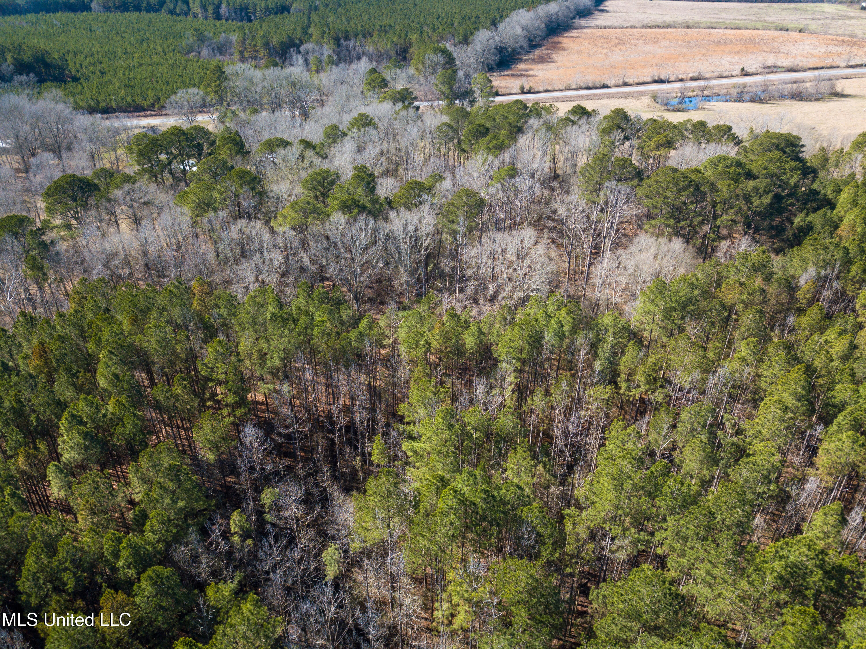 13 Highway 13 Morton, MS 39117 - Photo 18 of 28 DJI_0734