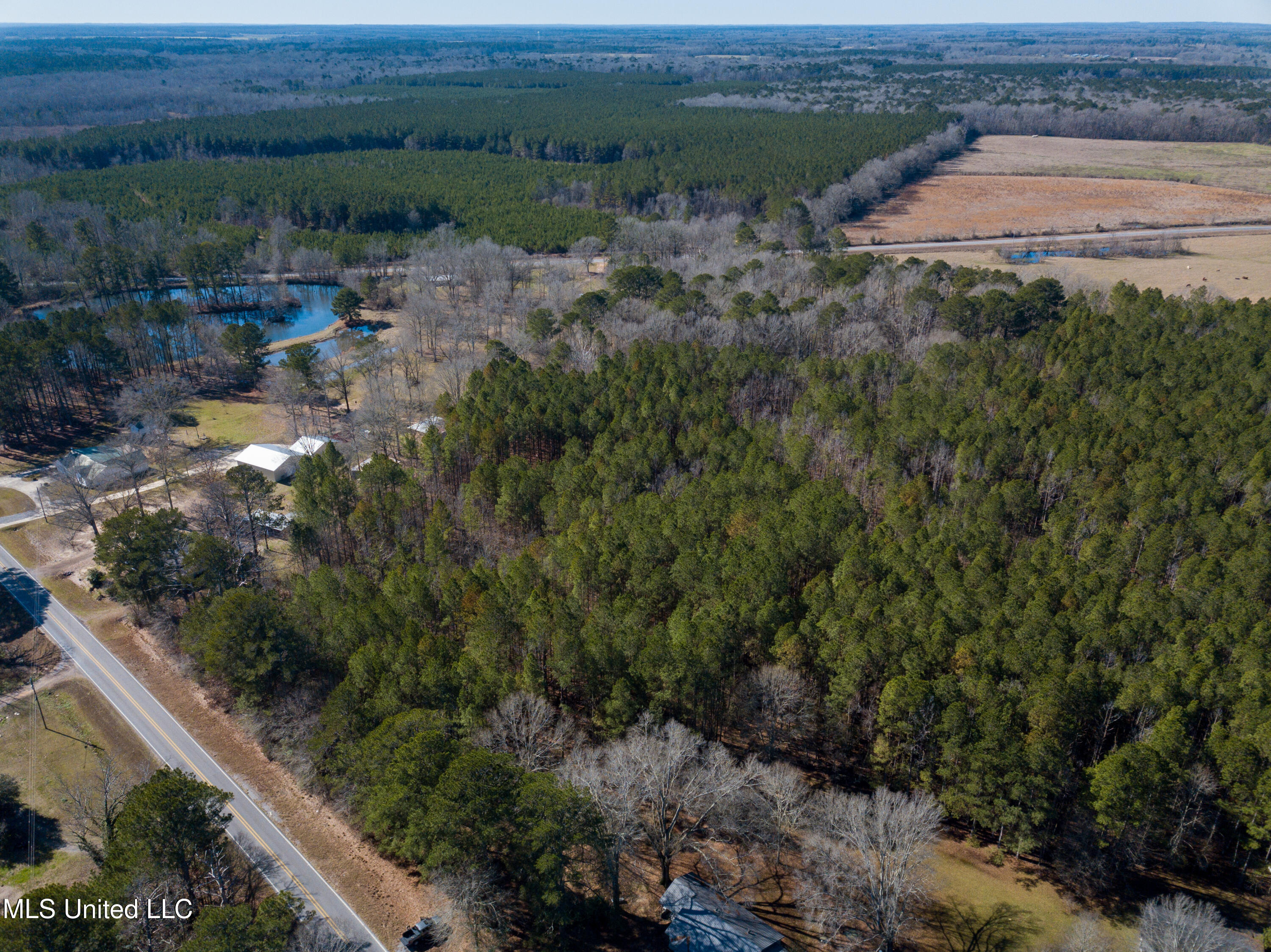 13 Highway 13 Morton, MS 39117 - Photo 23 of 28 DJI_0736