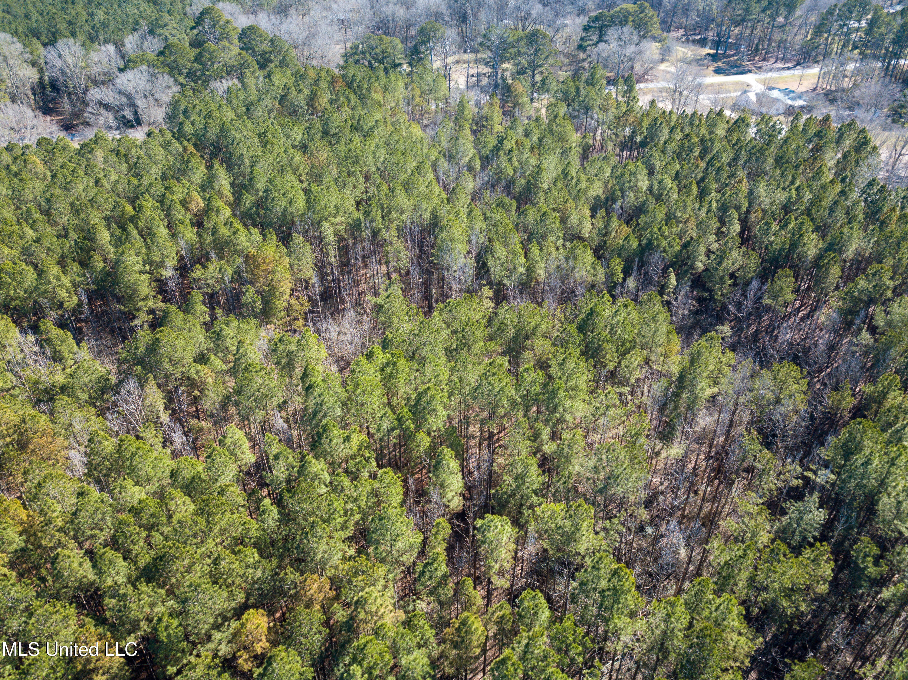 13 Highway 13 Morton, MS 39117 - Photo 24 of 28 DJI_0732