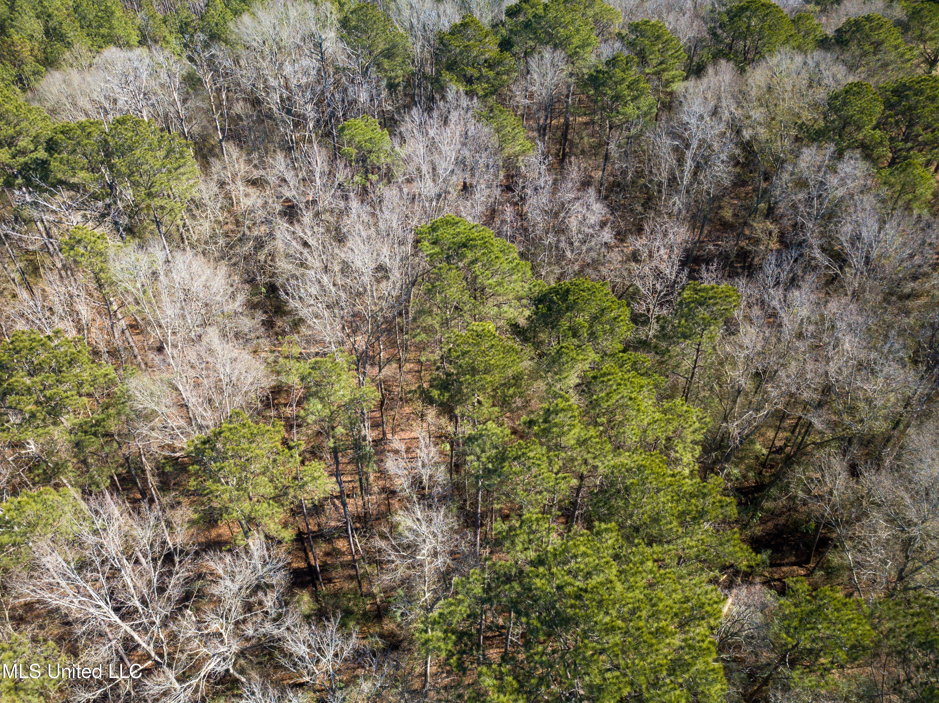13 Highway 13 Morton, MS 39117 - Photo 25 of 28 DJI_0730