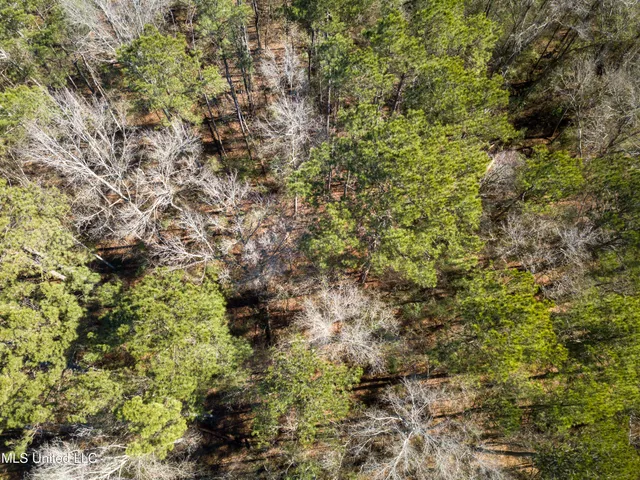 $69,900 | 13 Highway 13, Morton, MS 39117