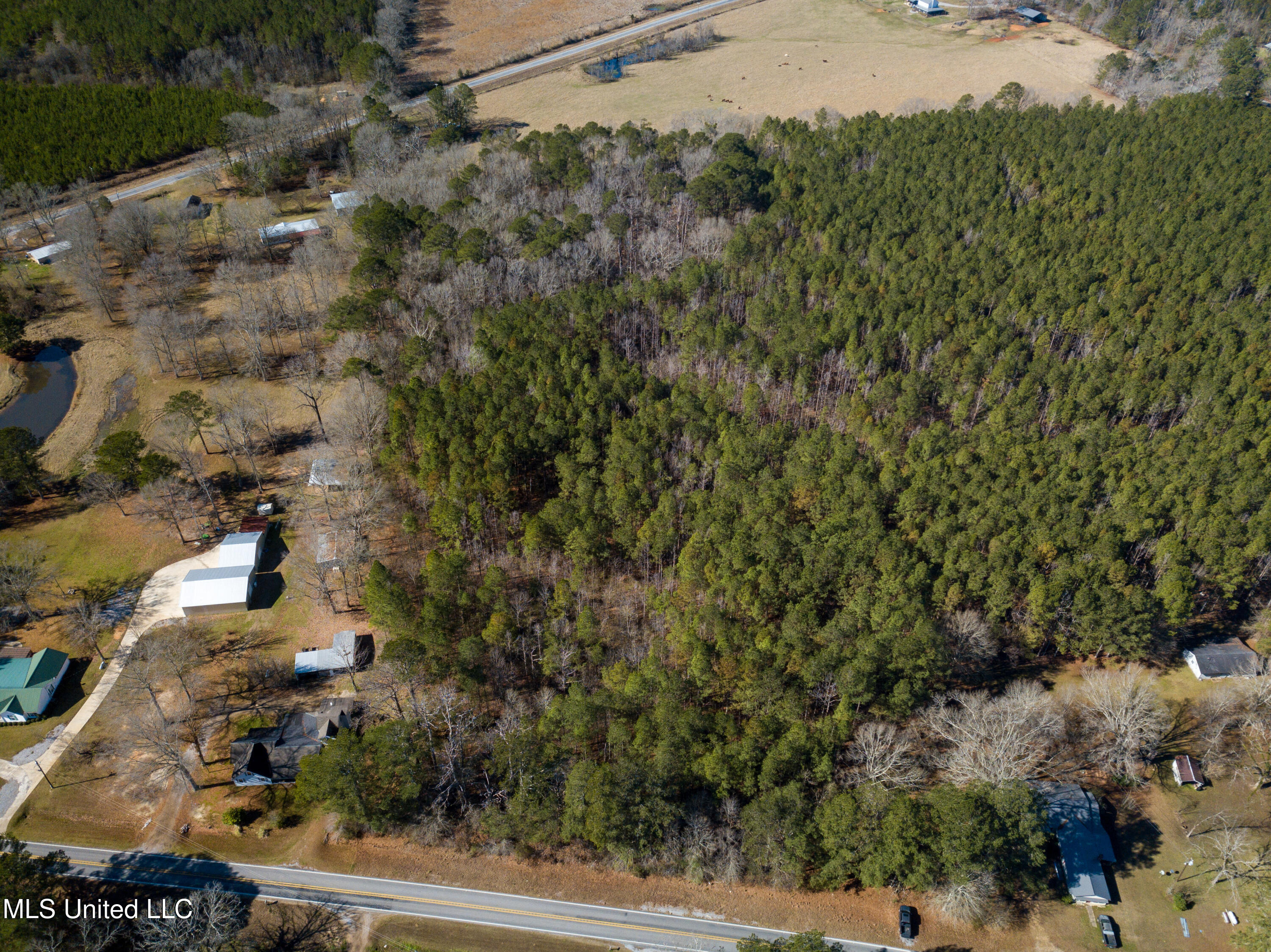 13 Highway 13 Morton, MS 39117 - Photo 4 of 28 DJI_0723