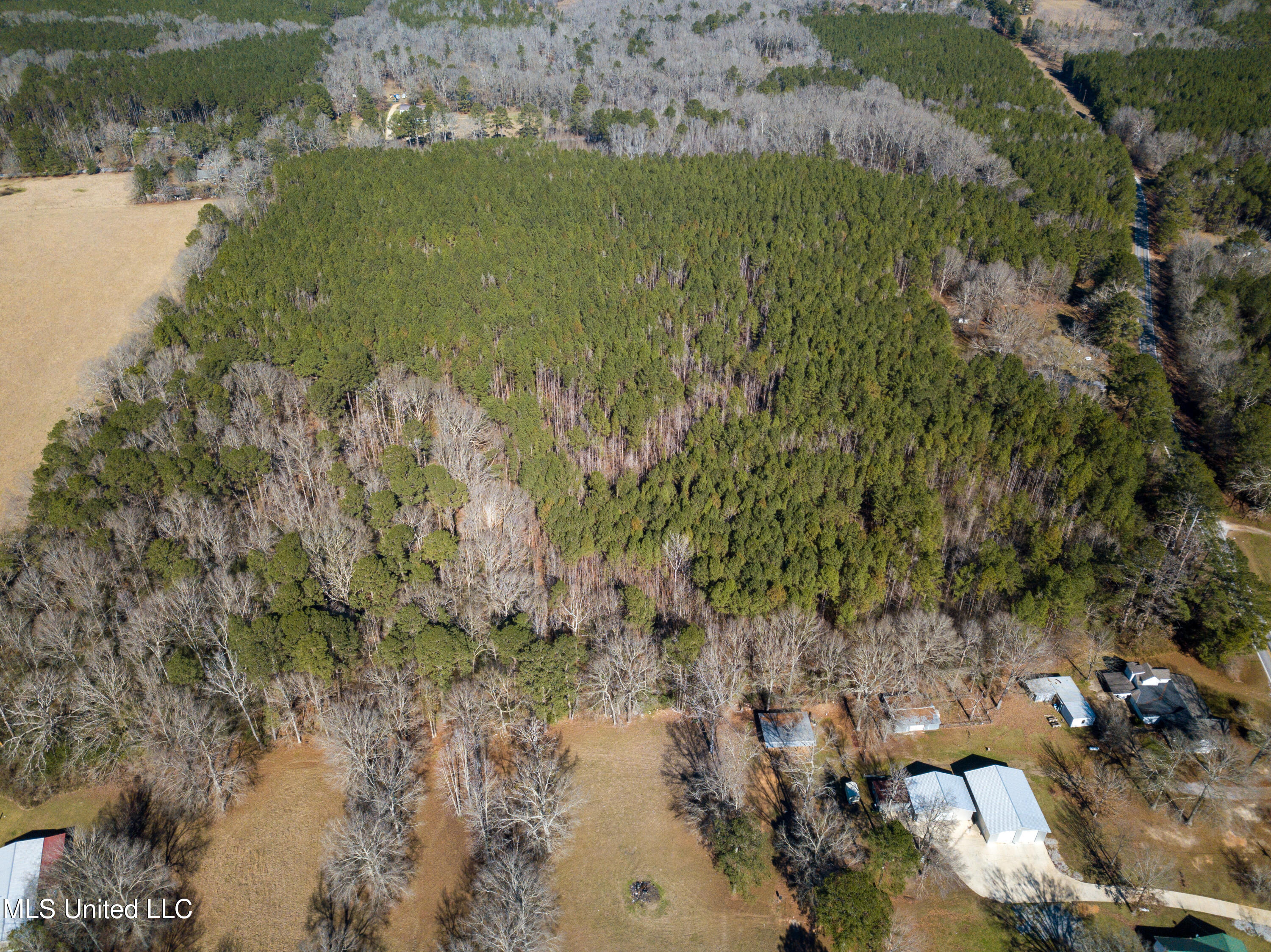 13 Highway 13 Morton, MS 39117 - Photo 6 of 28 DJI_0725