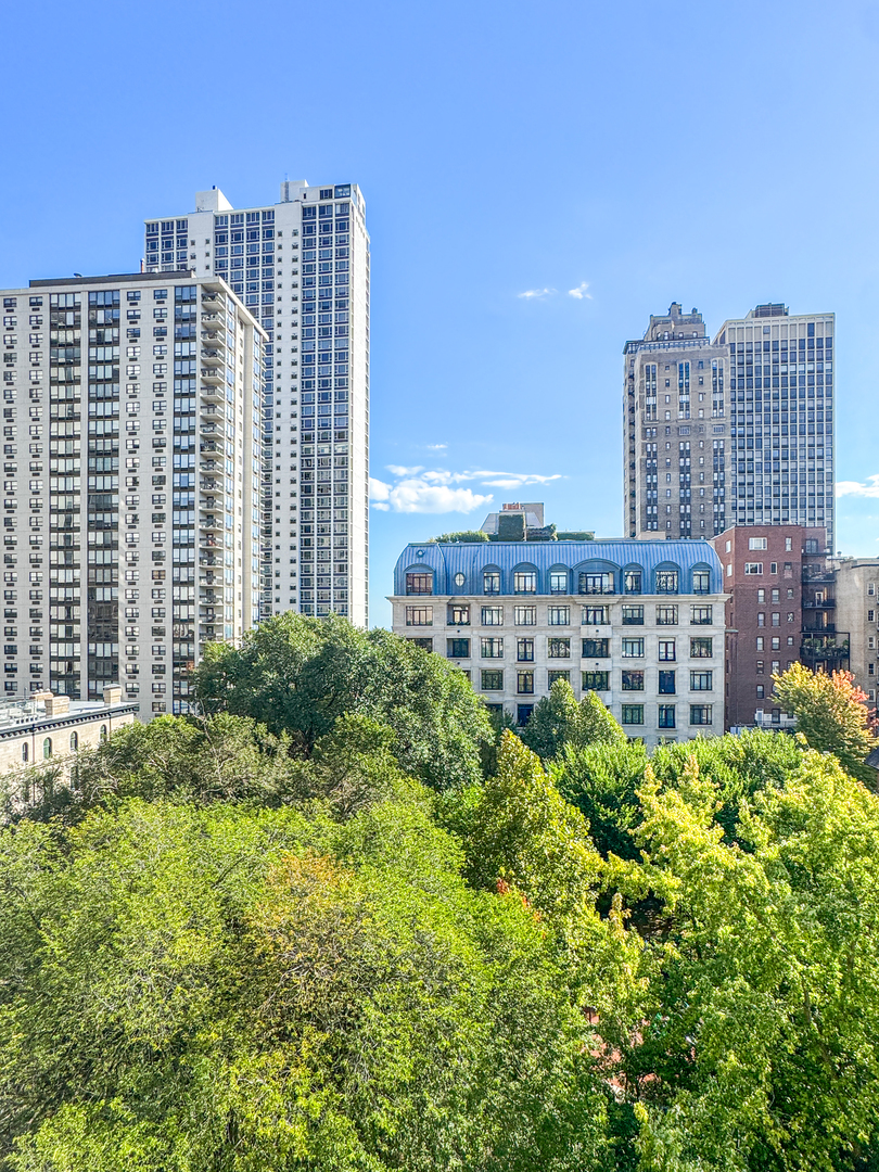 1260 North Astor Street, Unit 7 Chicago, IL 60610 - Photo 42 of 56
