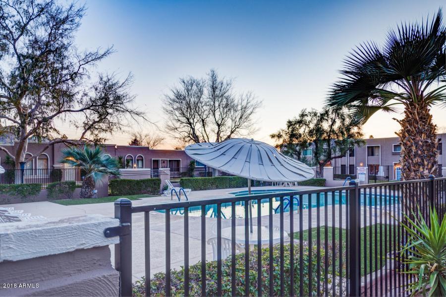 5981 East Thomas Road Scottsdale, AZ 85251 - Photo 23 of 23 Community Pool