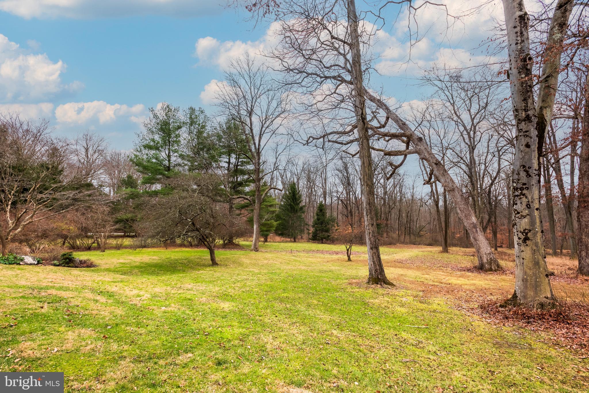 2035 Twinbrook Road Berwyn, PA 19312 - Photo 47 of 51 Abundance of Natural Setting