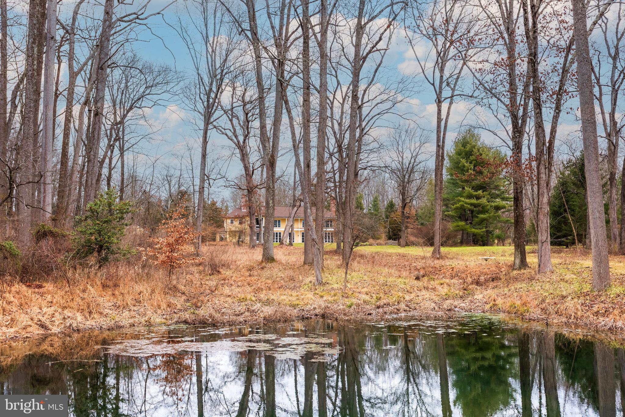 2035 Twinbrook Road Berwyn, PA 19312 - Photo 48 of 51 Pond in Conservation Area