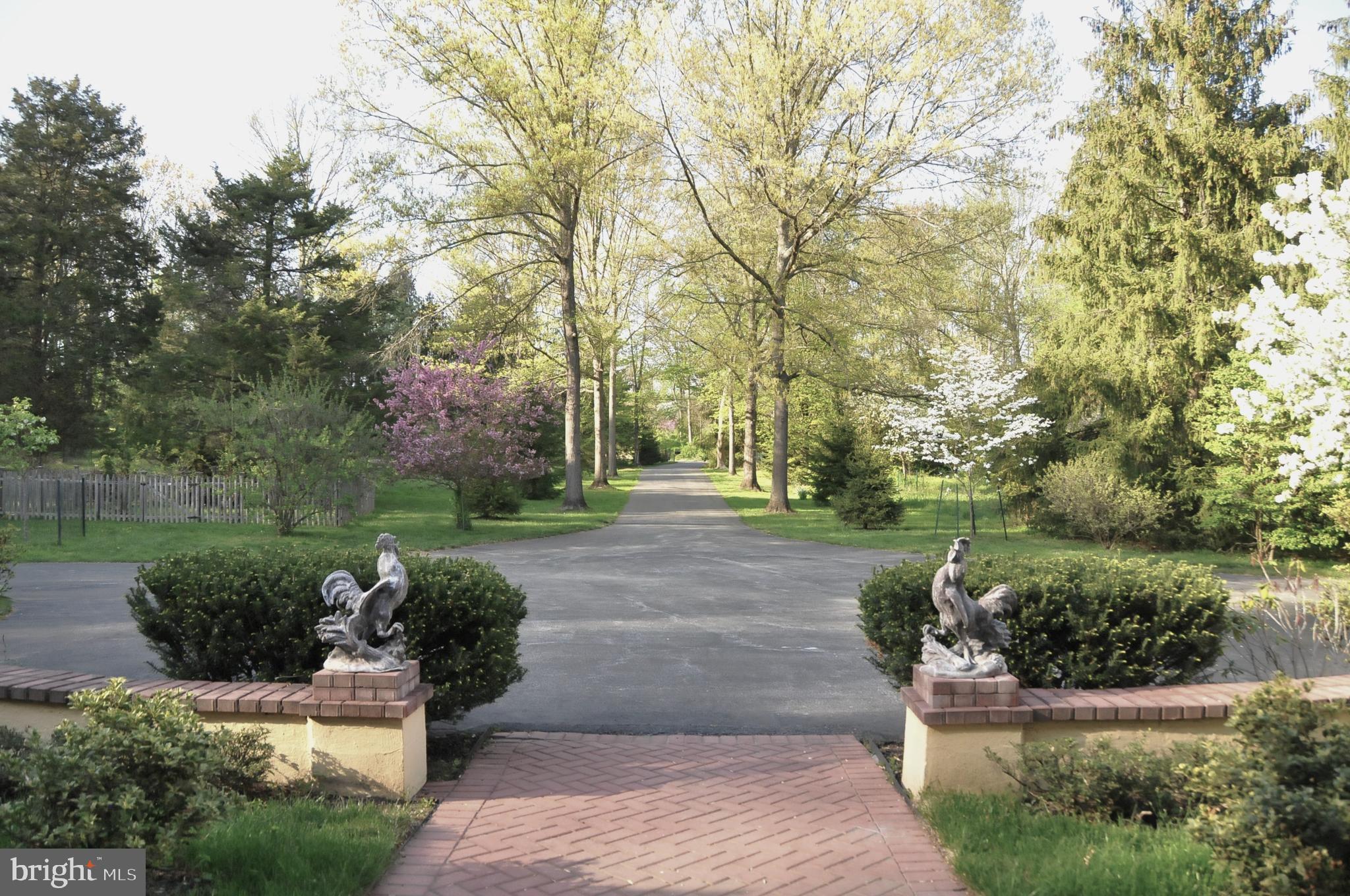 2035 Twinbrook Road Berwyn, PA 19312 - Photo 50 of 51 View From Front Door - Spring