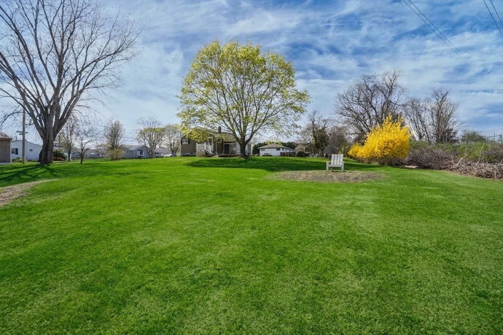 67 Montgomery Road Swansea, MA 02777 - Photo 37 of 41 a view of a trees in a big yard