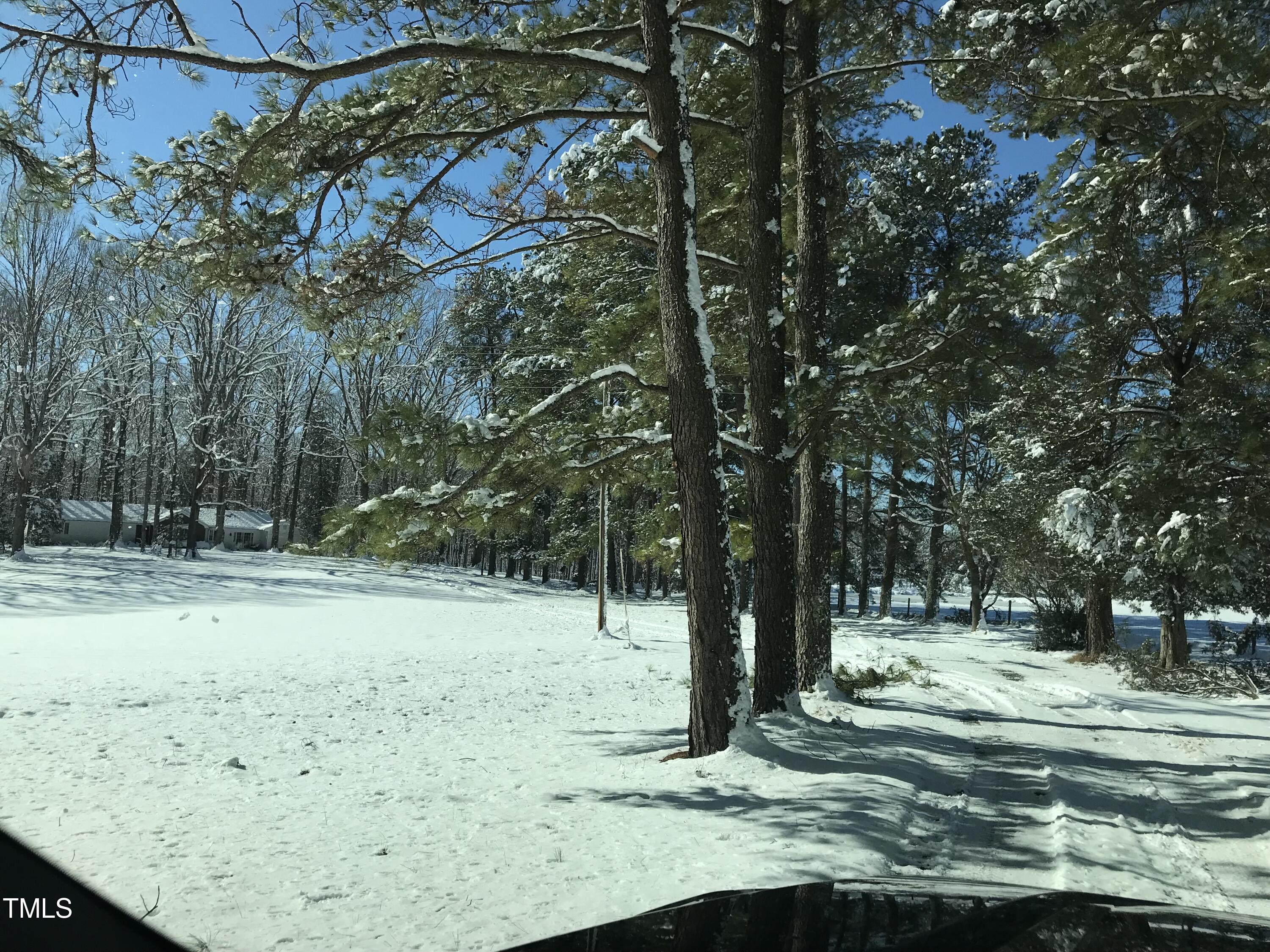 389 Dewitt Smith Road Pittsboro, NC 27312 - Photo 7 of 39 Tree lined drive after snowfall.