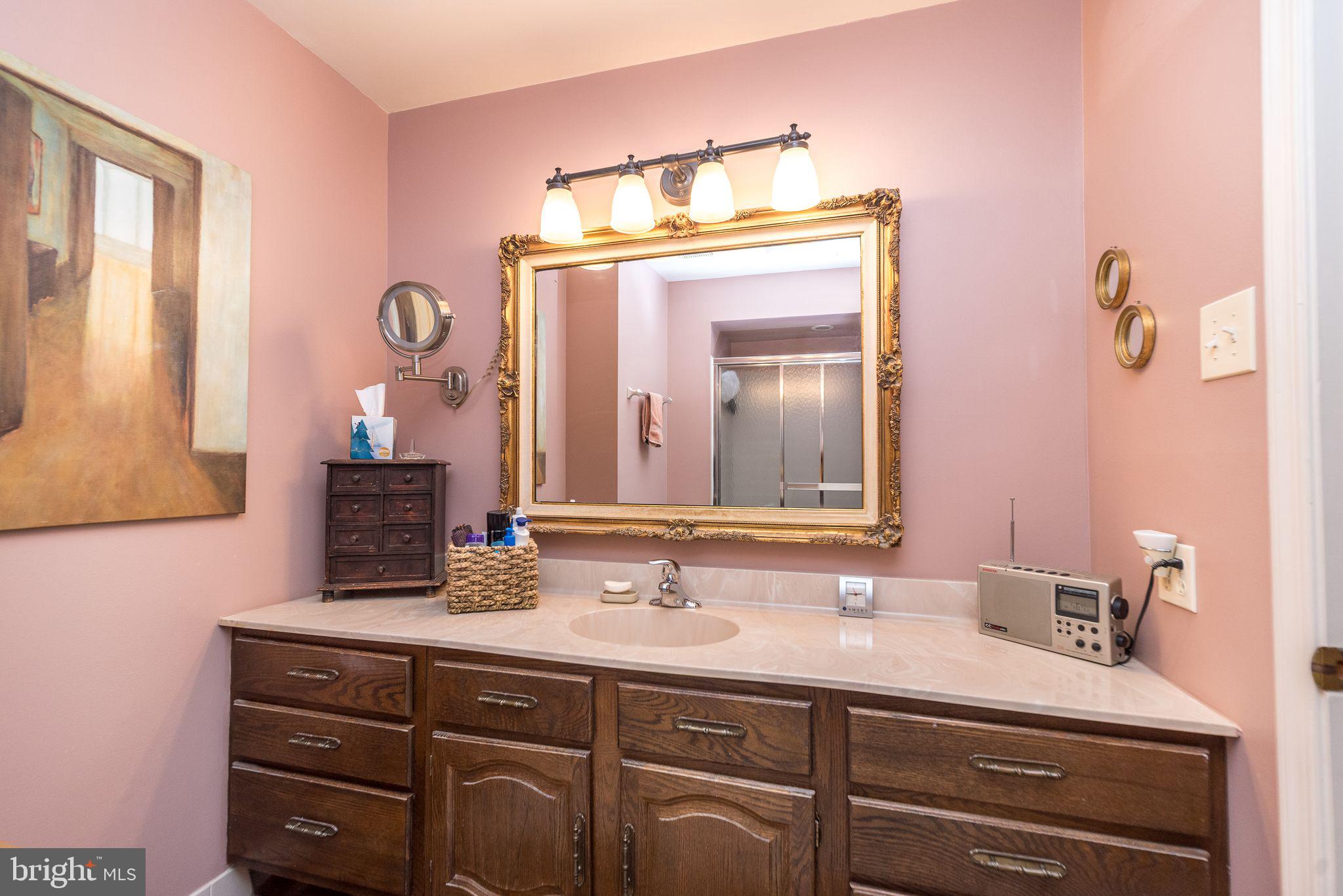 68 Amity Drive Chesterbrook, PA 19087 - Photo 30 of 62 a bathroom with a sink vanity and a mirror