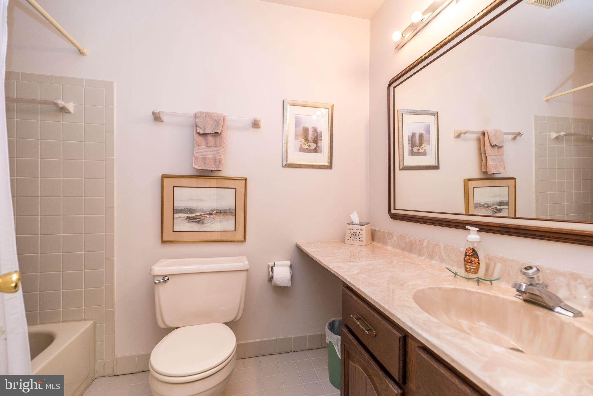 68 Amity Drive Chesterbrook, PA 19087 - Photo 33 of 62 a bathroom with a toilet a sink a mirror and a shower