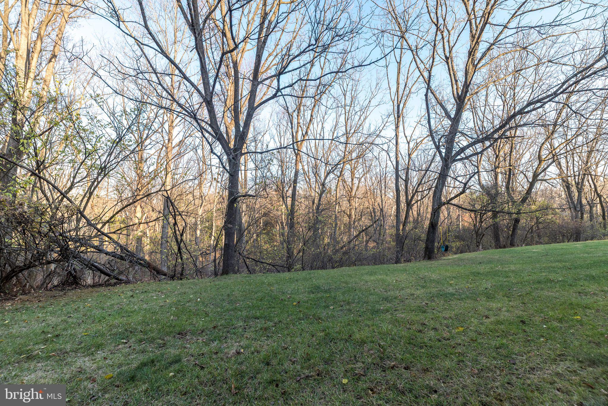 68 Amity Drive Chesterbrook, PA 19087 - Photo 54 of 62 a huge green field with lots of trees