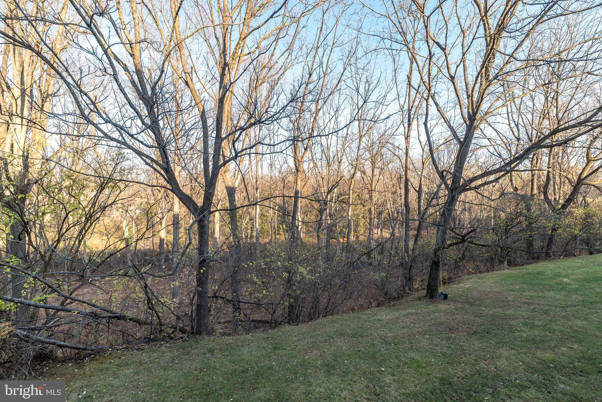 68 Amity Drive Chesterbrook, PA 19087 - Photo 9 of 62 View from the Deck or Patio