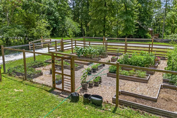 a view of a backyard