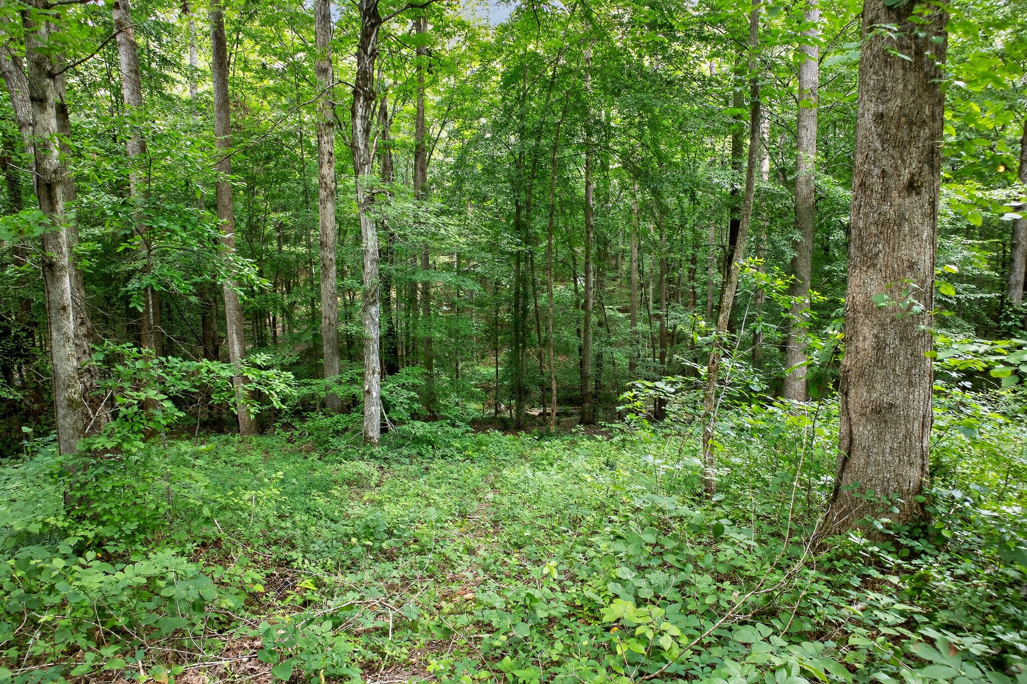 1005 Peery Road Kingston Springs, TN 37082 - Photo 25 of 27