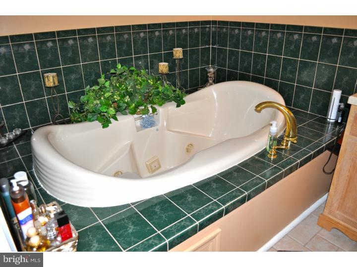 238 Tohopecka Road Clarksboro, NJ 08020 - Photo 13 of 23 Bathroom