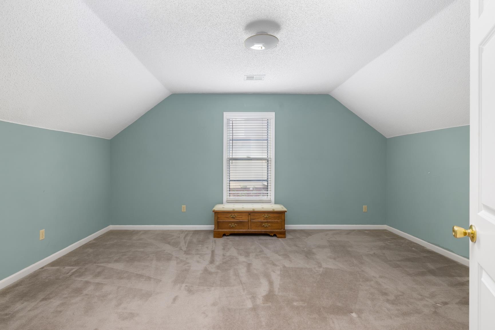 9015 Raspberry Lane Cordova, TN 38016 - Photo 36 of 40 Additional living space featuring vaulted ceiling, a textured ceiling, and light colored carpet