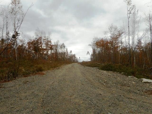 Tbd Pug Lakes Road Lakeville, ME 04487 - Photo 8 of 11 Photo