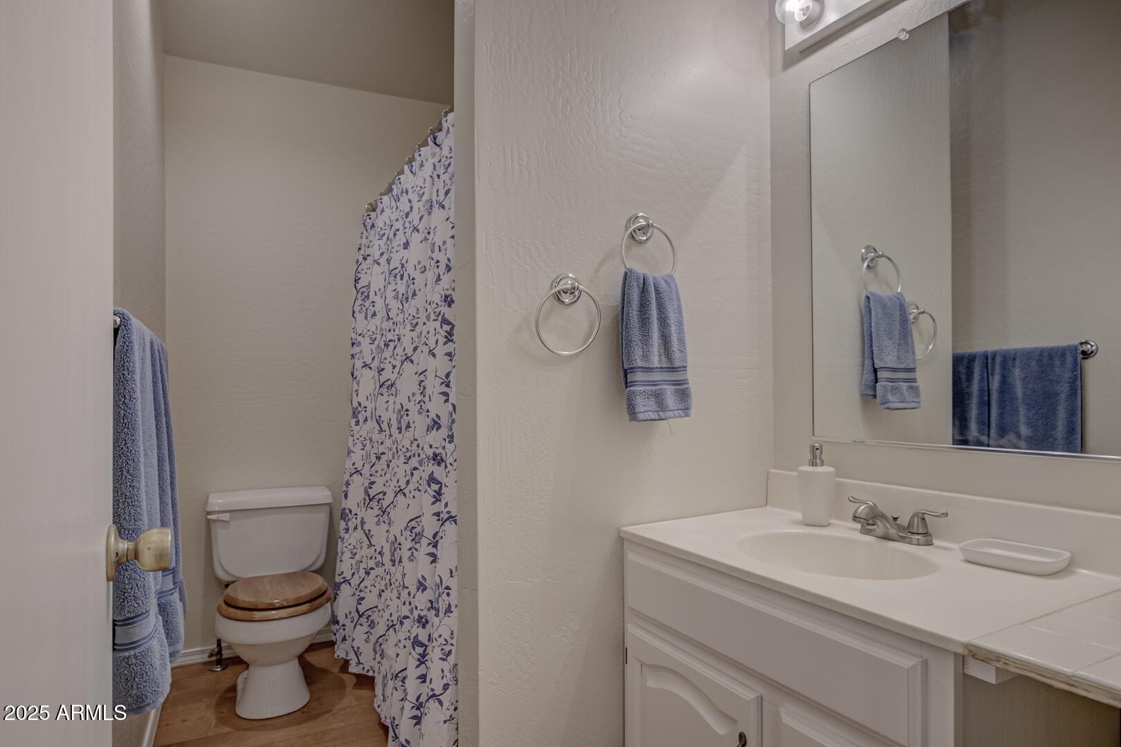 4823 Rim View Loop Pine, AZ 85544 - Photo 50 of 70 a bathroom with a granite countertop toilet a sink and a mirror