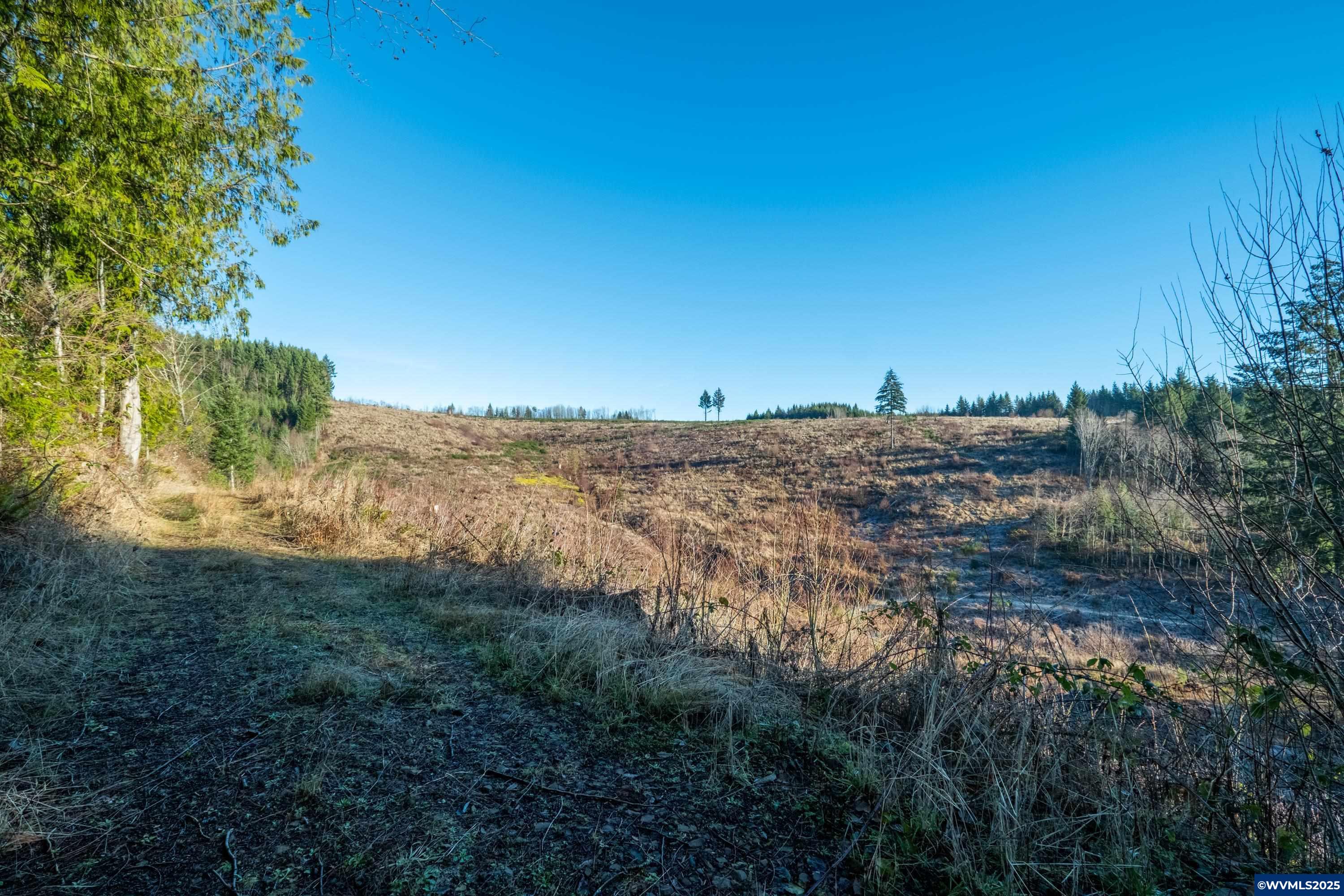 0 Northwest Sellers Road North Plains, OR 97133 - Photo 32 of 36