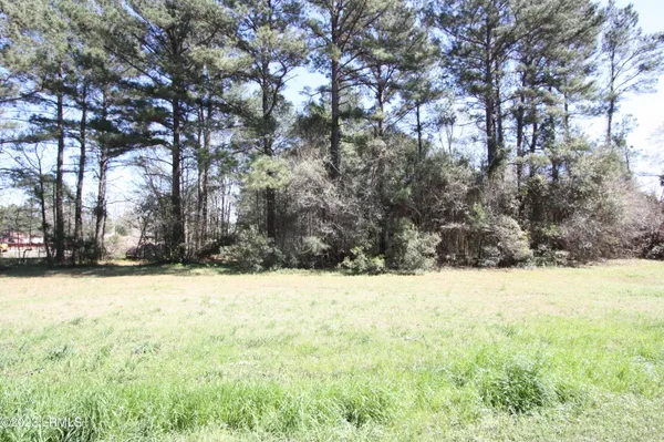 $48,000 | 321 Hwy S Estill Sc 29918 Highway South, Estill, SC 29918