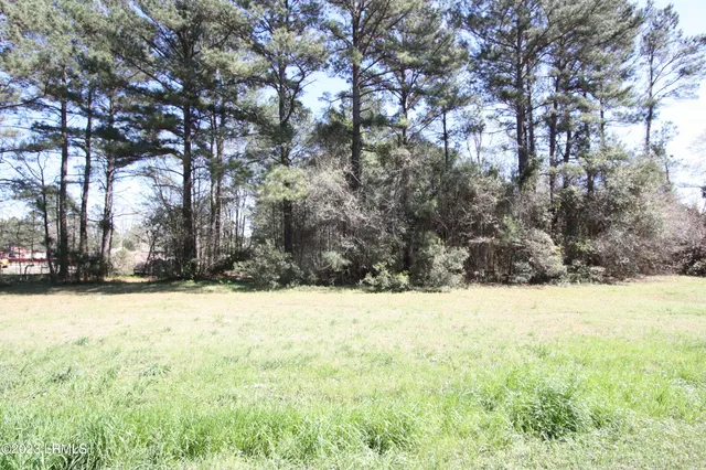 $48,000 | 321 Hwy S Estill Sc 29918 Highway South, Estill, SC 29918