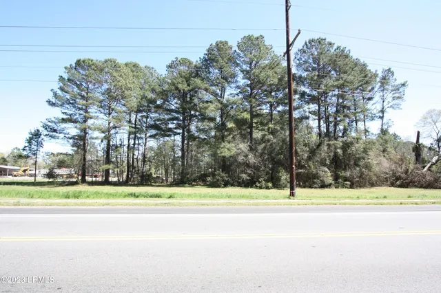 $48,000 | 321 Hwy S Estill Sc 29918 Highway South, Estill, SC 29918