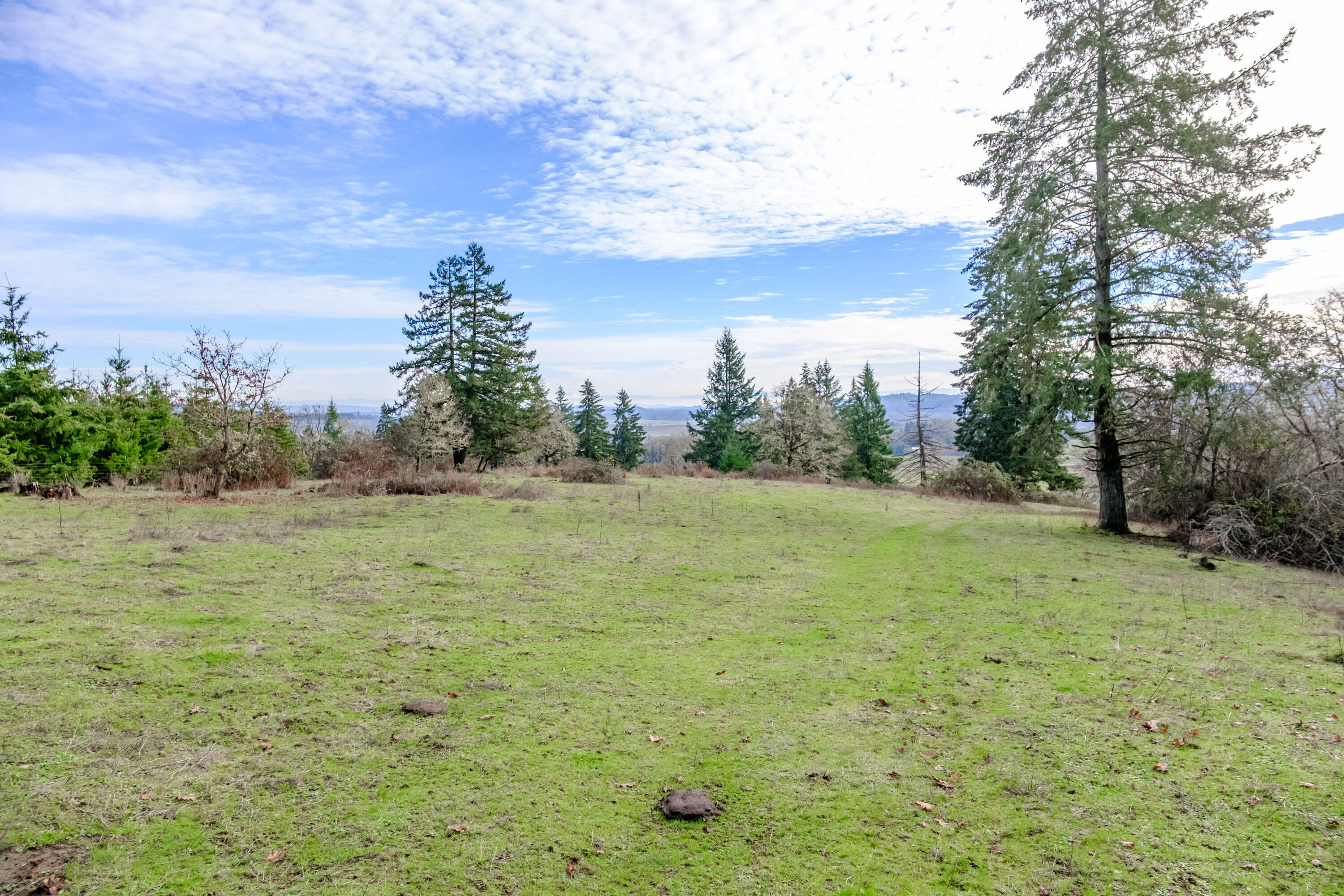 Airlie Road Monmouth, OR 97361 - Photo 32 of 34 Gallery Image 32