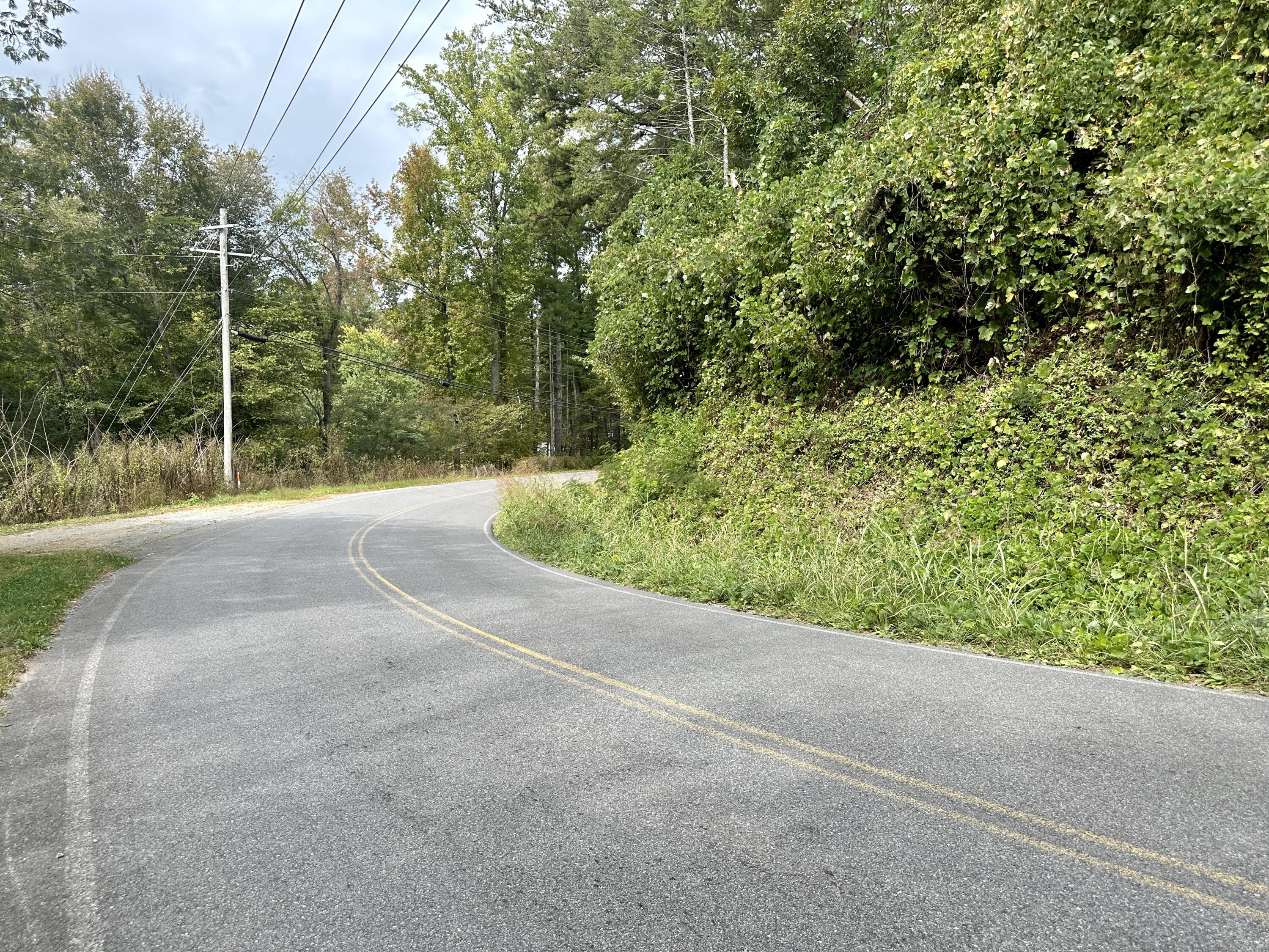 Tbd Greasy Cove Road Cosby, TN 37722 - Photo 5 of 15 IMG_005